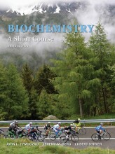 Samenvatting Biochemistry: A Short Course A Short Course Afbeelding van boekomslag