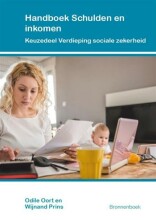 Samenvatting Handboek Schulden en inkomen Afbeelding van boekomslag