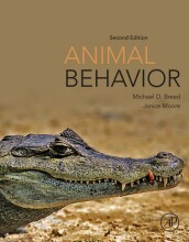 Summary: Animal Behavior | 9780128016831 | Michael D Breed, et al Book cover image