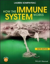 Summary How the immune system works sixth edition Book cover image