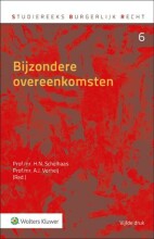 Samenvatting Bijzondere overeenkomsten Afbeelding van boekomslag