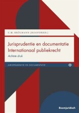 Samenvatting Jurisprudentie en documentatie Internationaal publiekrecht Afbeelding van boekomslag