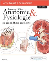 Samenvatting Ross and Wilson Anatomie en Fysiologie in gezondheid en ziekte - E-Book Afbeelding van boekomslag