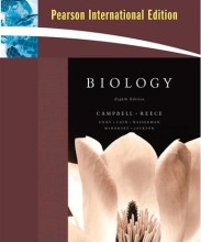 Summary: Biology | 9780321536167 | Neil A Campbell in Beth Wilbur Book cover image