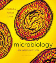 Summary Microbiology : an introduction Book cover image