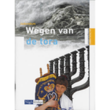 Samenvatting: Jodendom : Wegen Van De Tora | 9789042524194 | Cor Jongeneelen Afbeelding van boekomslag