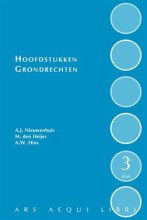 Samenvatting Hoofdstukken grondrechten Afbeelding van boekomslag