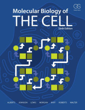 Samenvatting Molecular Biology of the Cell, Sixth Edition Afbeelding van boekomslag