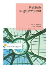 Samenvatting: Praktisch Jeugd(Straf)Recht | 9789001794316 | A Bunthof, et al Afbeelding van boekomslag