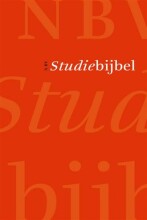 Samenvatting: Nbv Studiebijbel | 9789065393296 | Nederlands Bijbelgenootschap, et al Afbeelding van boekomslag