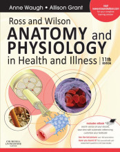 Samenvatting Ross & Wilson Anatomy and Physiology in Health and Illness Afbeelding van boekomslag