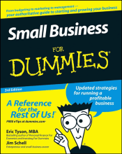 Samenvatting Small Business For Dummies Afbeelding van boekomslag