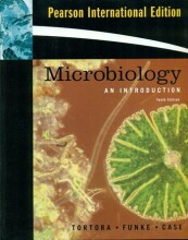 Samenvatting Microbiology : an introduction Afbeelding van boekomslag