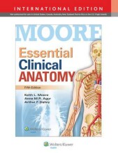Samenvatting Essential Clinical Anatomy Afbeelding van boekomslag