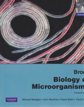 Samenvatting: Brock Biology Of Microorganisms | 9780321735515 | Michael T Madigan Afbeelding van boekomslag