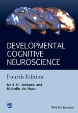 Samenvatting: Developmental Cognitive Neuroscience | 9781118938089 | Johnson, et al Afbeelding van boekomslag