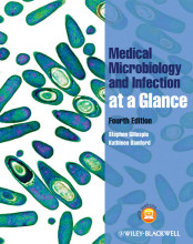 Samenvatting Medical Microbiology and Infection at a Glance Afbeelding van boekomslag