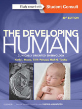 Samenvatting: The Developing Human Clinically Oriented Embryology | 9780323313483 | Keith L Moore, et al Afbeelding van boekomslag