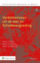 Samenvatting verbintenissen uit de wet en schadevergoeding Afbeelding van boekomslag