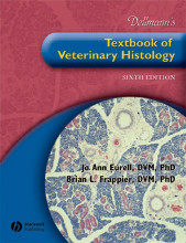 Samenvatting Dellmann's Textbook of Veterinary Histology Afbeelding van boekomslag