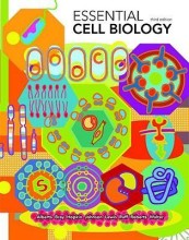 Samenvatting Essential cell biology Afbeelding van boekomslag
