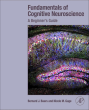 Samenvatting Fundamentals of Cognitive Neuroscience A Beginner's Guide Afbeelding van boekomslag