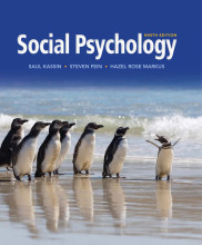 Samenvatting: Social Psychology | 9781133957751 | Saul Kassin Afbeelding van boekomslag