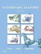 Samenvatting: Textbook Of Veterinary Anatomy | 9781416066071 | K M Dyce, et al Afbeelding van boekomslag