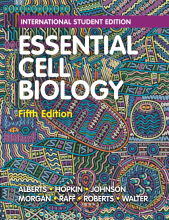 Samenvatting Essential Cell Biology Fifth International Student Edition Afbeelding van boekomslag
