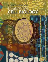 Samenvatting Essential Cell Biology, Fourth Edition Afbeelding van boekomslag