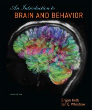 Summary: Introduction To Brain And Behavior | 9781464139604 | Bryan Kolb, et al Book cover image