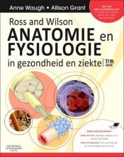 Samenvatting: Ross And Wilson Anatomie En Fysiologie In Gezondheid En Ziekte 11E Editie 2012 | 9780702046599 | Anne Waugh, et al Afbeelding van boekomslag