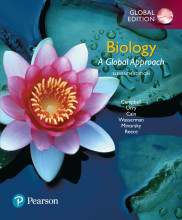 Samenvatting: Biology: A Global Approach, Global Edition | 9781292170442 | Neil A Campbell, et al Afbeelding van boekomslag