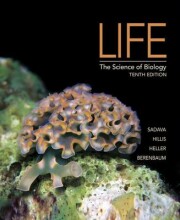 Samenvatting: Life: The Science Of Biology | 9781429298643 | David Sadava, et al Afbeelding van boekomslag