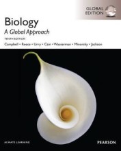 Samenvatting Biology A Global Approach with MasteringBiology, Global Edition Afbeelding van boekomslag