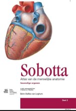 Samenvatting Sobotta Atlas van de menselijke anatomie - Inwendige organen 2 Afbeelding van boekomslag