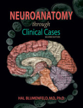 Summary Neuroanatomy through clinical cases Book cover image