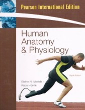 Samenvatting: Human Anatomy & Physiology | Elaine N Marieb, et al Afbeelding van boekomslag