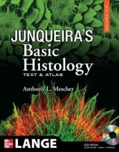 Samenvatting: Junqueira's Basic Histology : Text And Atlas. | 9780071630207 | Anthony L Mescher Afbeelding van boekomslag