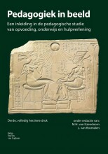 Samenvatting: Pedagogiek In Beeld | 9789036806169 | M H IJzendoorn, et al Afbeelding van boekomslag