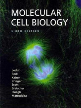 Samenvatting: Molecular Cell Biology | 9780716776017 | Harvey Lodish Afbeelding van boekomslag