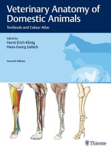 Samenvatting Veterinary Anatomy of Domestic Animals Textbook and Colour Atlas Afbeelding van boekomslag