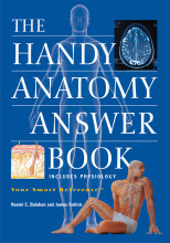 Samenvatting The Handy Anatomy Answer Book Afbeelding van boekomslag