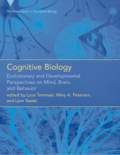 Samenvatting Cognitive Biology Evolutionary and Developmental Perspectives on Mind, Brain, and Behavior Afbeelding van boekomslag