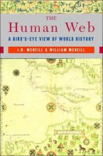 Samenvatting The human web a birds eye view of world history Afbeelding van boekomslag