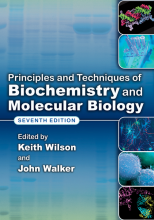 Samenvatting Principles and Techniques of Biochemistry and Molecular Biology Afbeelding van boekomslag