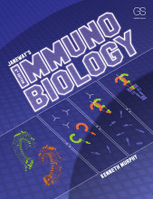 Samenvatting Janeway's Immunobiology, Eighth Edition Afbeelding van boekomslag