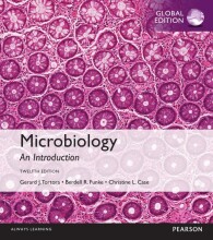 Samenvatting Microbiology: An Introduction, Global Edition Afbeelding van boekomslag