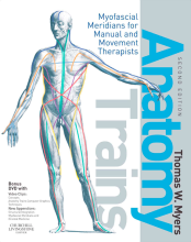 Samenvatting Anatomy Trains Myofascial Meridians for Manual and Movement Therapists Afbeelding van boekomslag