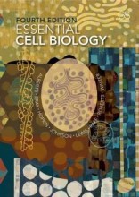 Samenvatting Essential Cell Biology Afbeelding van boekomslag